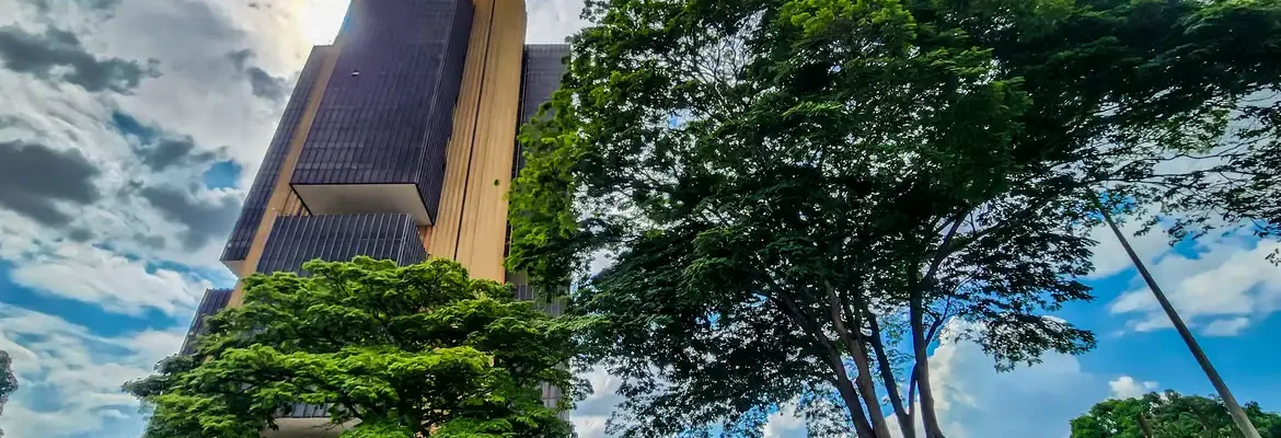 Contas externas têm saldo negativo de US$ 9,8 bilhões em setembro