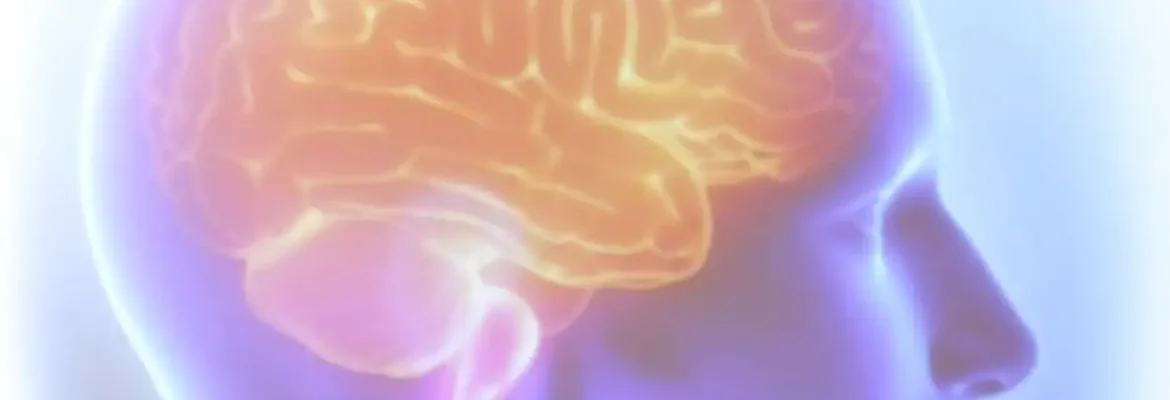 AVC mata uma pessoa a cada seis minutos no Brasil