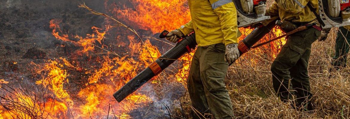 Pré-COP: Brasil propõe resposta global a incêndios florestais