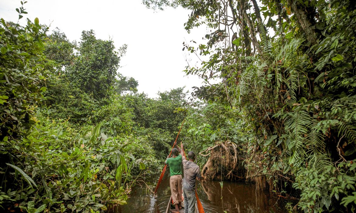 OAB Barro Preto - França lidera ação de US$ 2,5 bilhões para proteger floresta do Congo