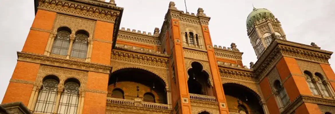 Fiocruz inicia testes em humanos para tratar Atrofia Muscular Espinhal