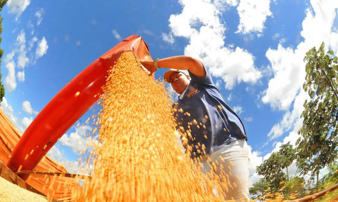 OAB Barro Preto - Agropecuária ajudou oito estados a crescerem mais que o Brasil em 2023