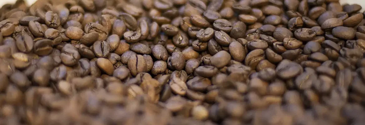 Trump diz que reduzirá tarifas para importação de café