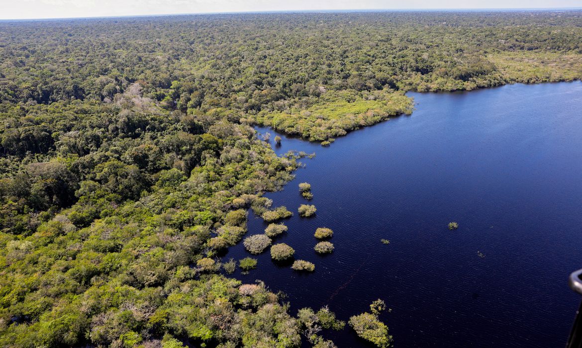 OAB Barro Preto - COP30: quarto leilão do Eco Invest terá foco exclusivo na Amazônia