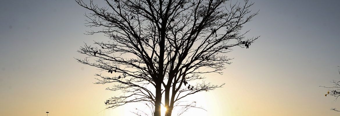 Cientista alerta para risco de aquecimento global por longo tempo