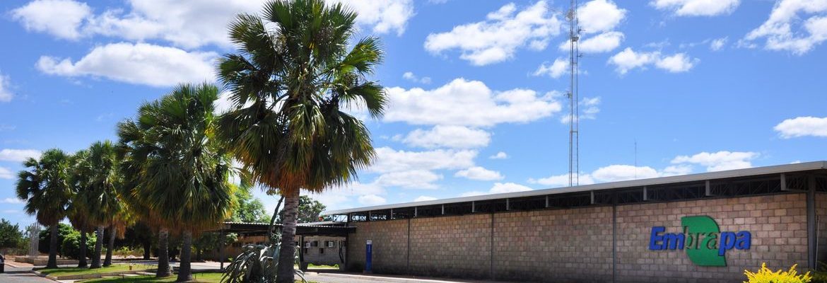 Aplicativo gratuito da Embrapa ajuda a planejar barragens no semiárido