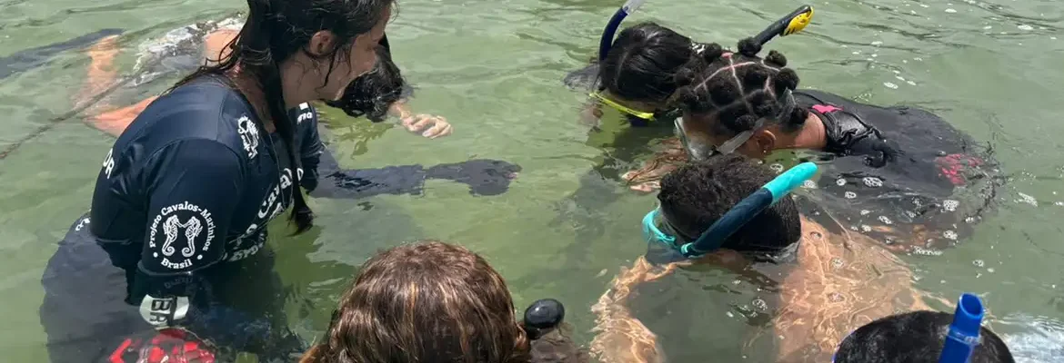 Projeto no Rio forma guardiões de cavalos-marinhos de 12 a 14 anos