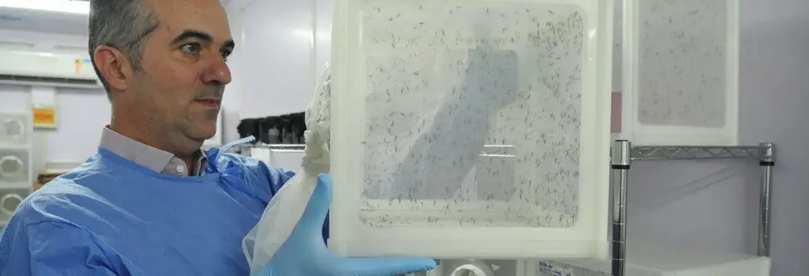Brasileiro criador do “Aedes” que bloqueia dengue é eleito pela Nature