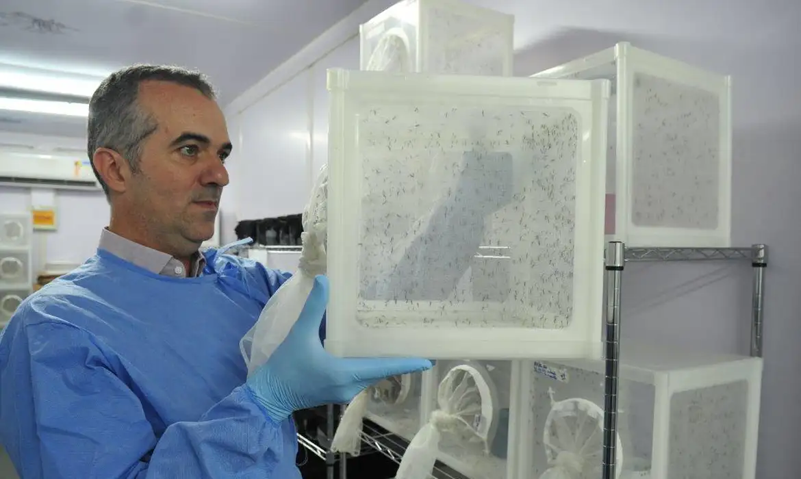 OAB Barro Preto - Brasileiro criador do “Aedes” que bloqueia dengue é eleito pela Nature