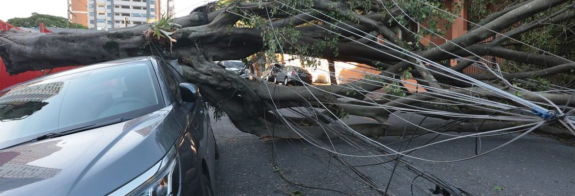 Cinco dias após ciclone, 30 mil clientes estão sem energia em SP