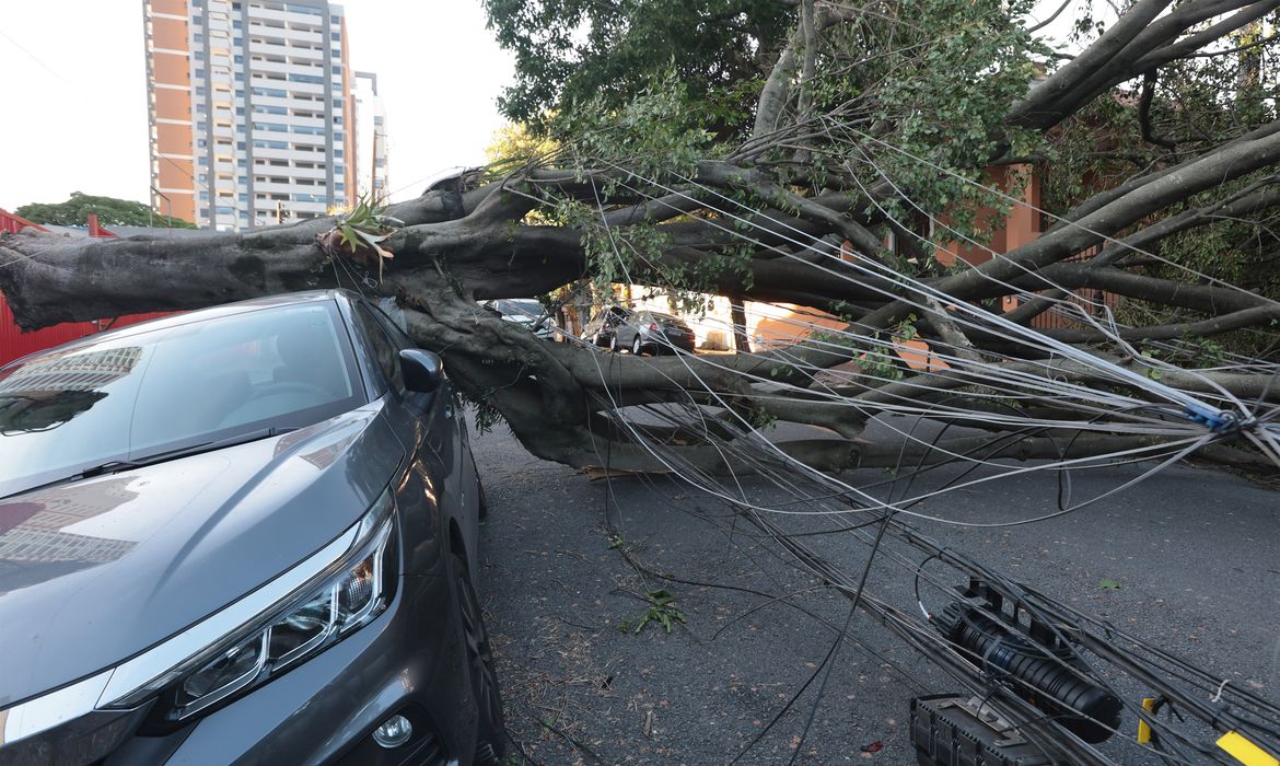 OAB Barro Preto - Cinco dias após ciclone, 30 mil clientes estão sem energia em SP