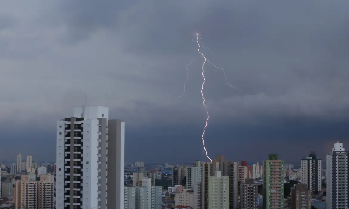 OAB Barro Preto - Temporal em São Paulo provoca alagamentos e quedas de árvores