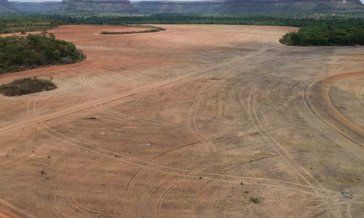 OAB Barro Preto - Processadoras de soja deixam acordo sobre desmatamento na Amazônia