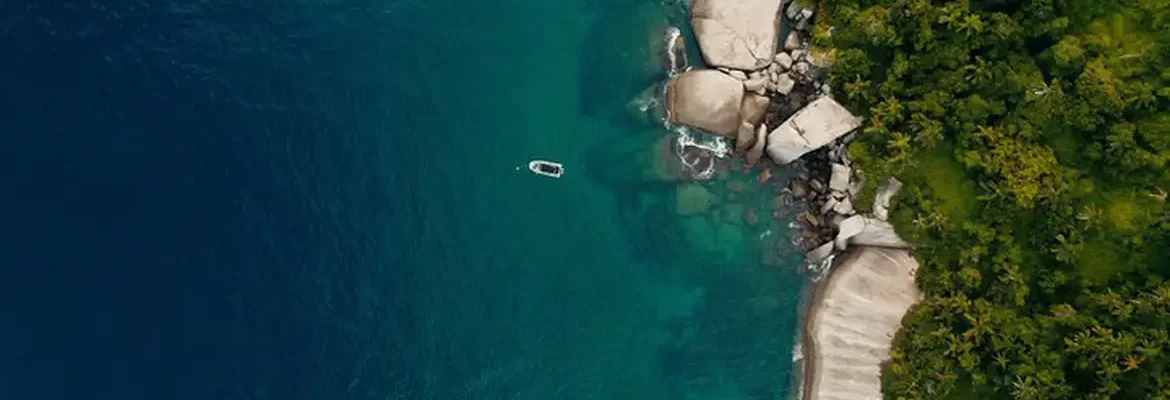 TV Brasil exibe documentário com iniciativas de preservação da costa