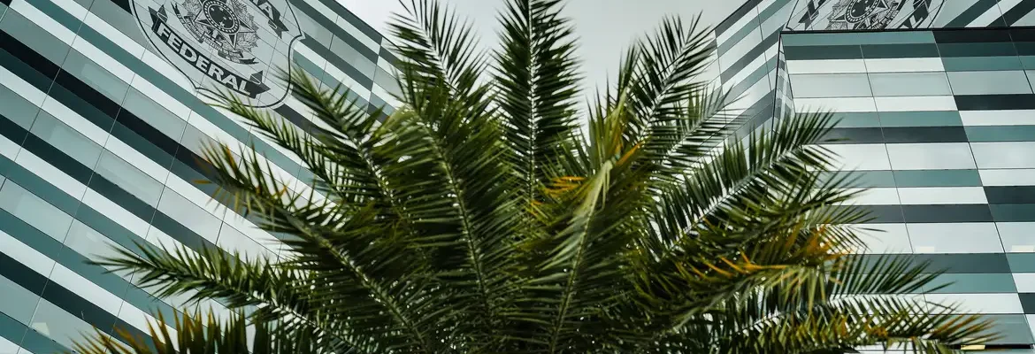 PF adia depoimentos de três investigados no inquérito do Banco Master