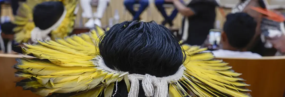 Vestibular da USP vai cobrar obras indígenas e quadrinhos
