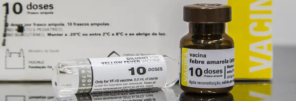 SP: quem tomou vacina fracionada da febre amarela deve completar ciclo