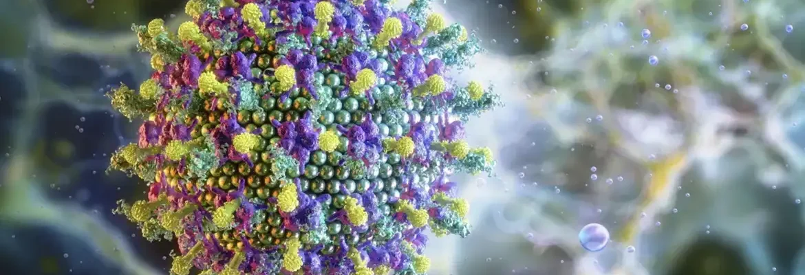 Nipah: saiba mais sobre o vírus que preocupa a Ásia