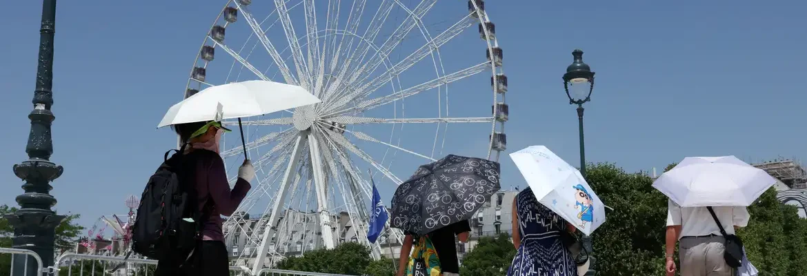 Europa: temperatura alta pode elevar transmissão do vírus Chikungunya