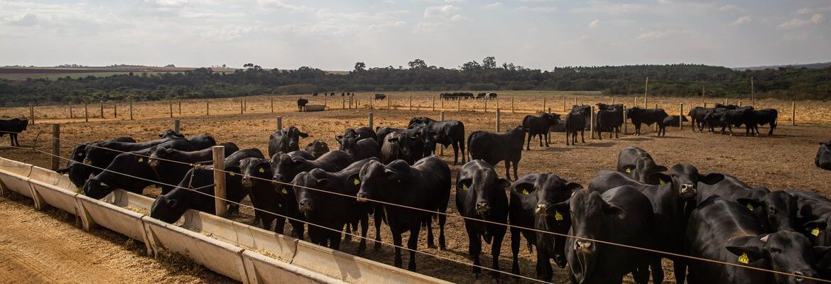 Atividade econômica brasileira cresce 2,5% em 2025