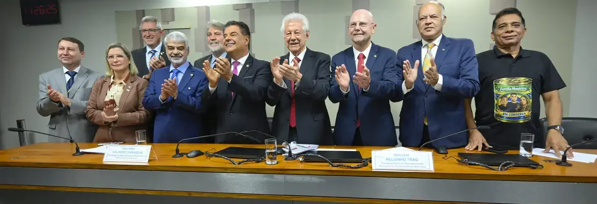 Representação Brasileira do Parlasul aprova acordo Mercosul-UE