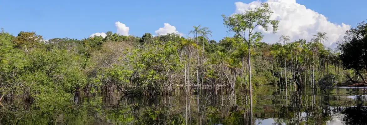 Governo levantou R$ 179 bi desde 2023 para transição ecológica