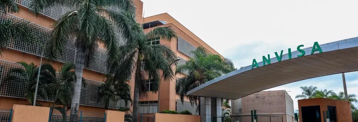 Anvisa: suplementos com cúrcuma podem trazer risco de danos ao fígado