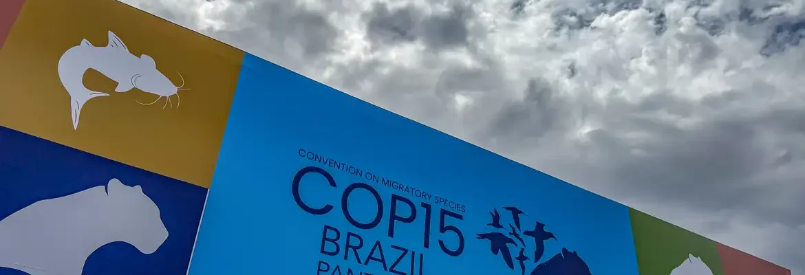 Cúpula de líderes orienta debates para COP15 em Campo Grande