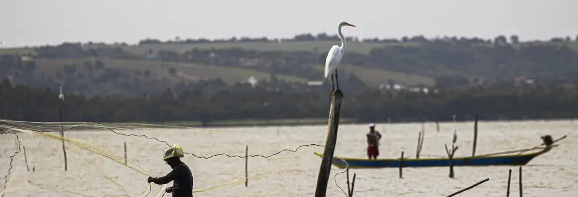 Sexto lote do seguro-defeso será disponibilizado na terça-feira