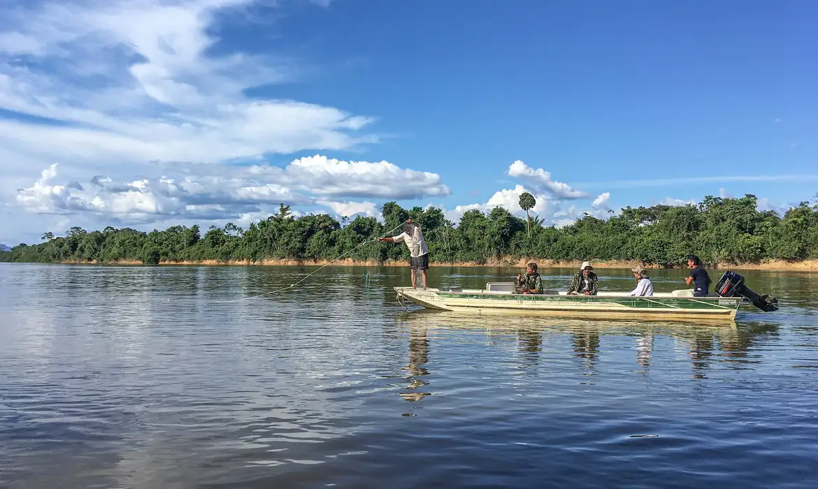 OAB Barro Preto - Peixes migratórios de água doce estão entre os mais ameaçados no mundo
