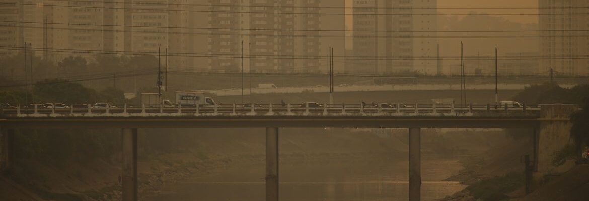 CMN muda regra do Eco Invest para impulsionar projetos verdes