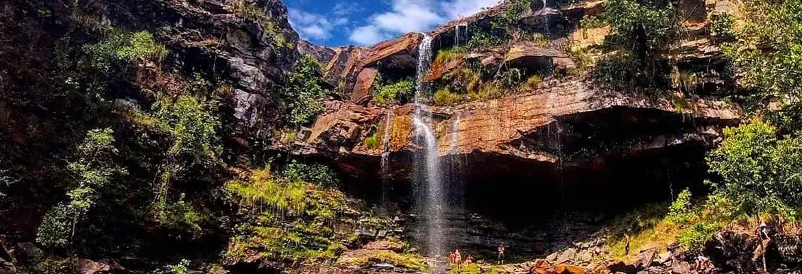 Criança de 8 anos é atacada por onça na Chapada dos Veadeiros