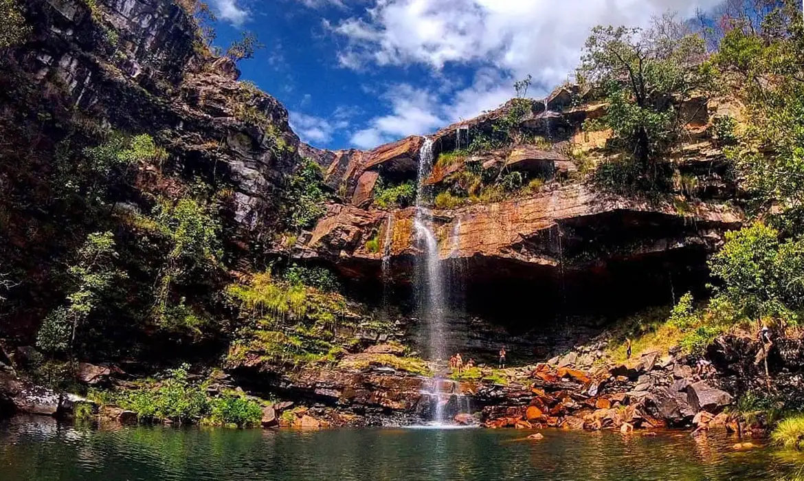 OAB Barro Preto - Criança de 8 anos é atacada por onça na Chapada dos Veadeiros