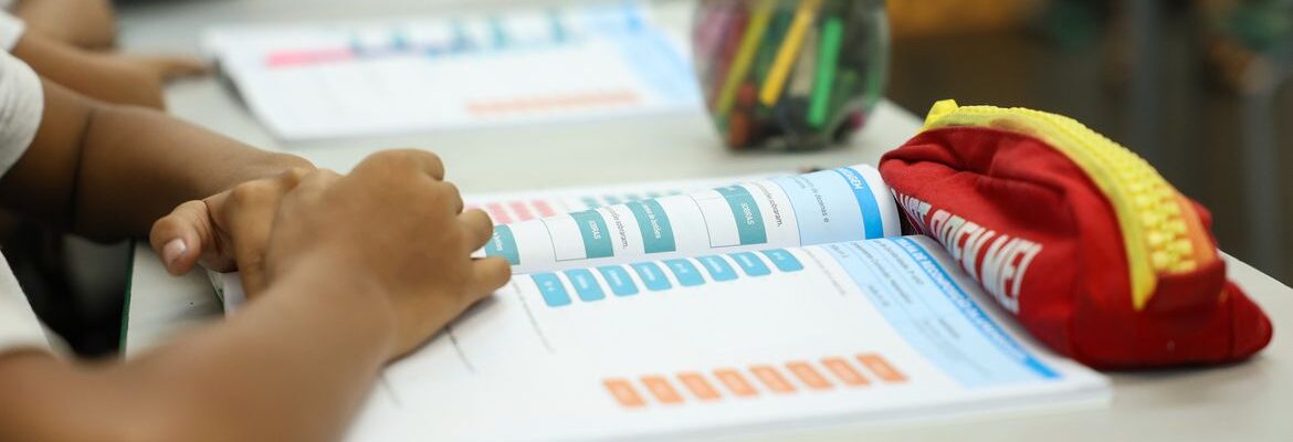 Escola para TEA e previdência privada geram dúvidas no IR; saiba mais