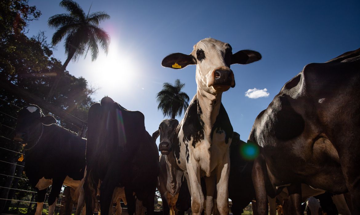 OAB Barro Preto - União Europeia oficializa veto à carne brasileira a partir de setembro
