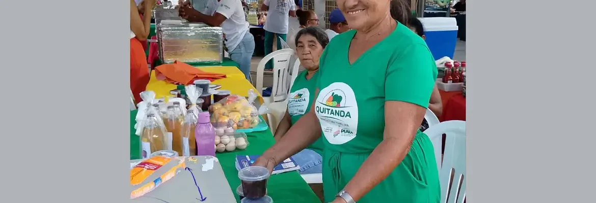 Agricultores familiares aumentam renda em 30% com programa federal 