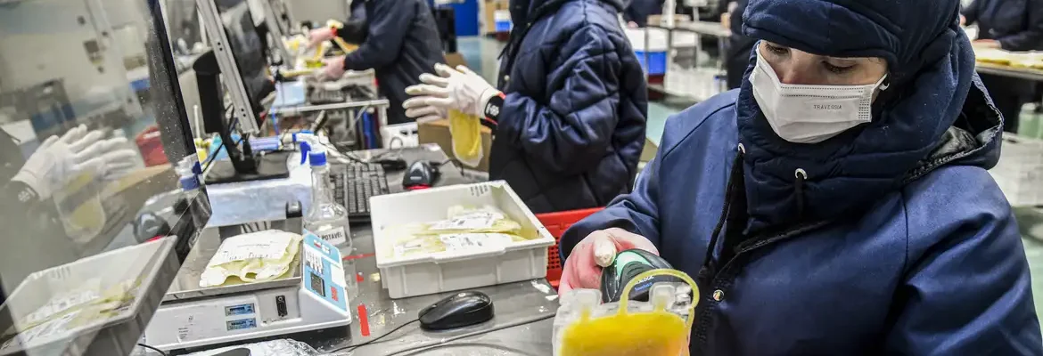 Projeto dispensa licitação para medicamentos produzidos pela Hemobrás