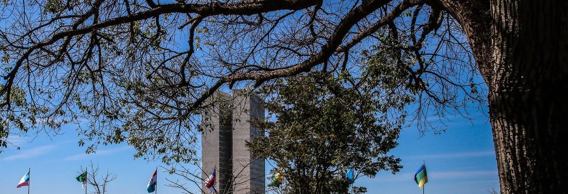 Congresso aumenta punição a crimes sexuais online contra crianças