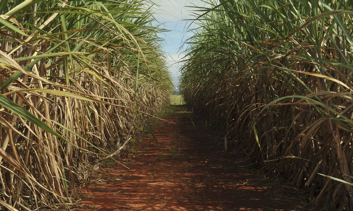 OAB Barro Preto - Conselho eleva limite de remuneração do Eco Invest Brasil