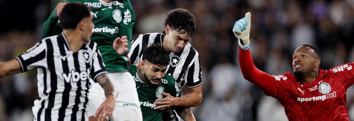 Botafogo segura Palmeiras e ajuda Flamengo, novo líder do Brasileirão
