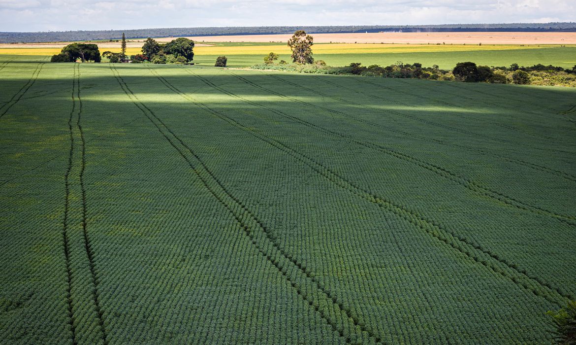 OAB Barro Preto - CMN amplia renegociação de dívidas rurais ligadas a eventos climáticos