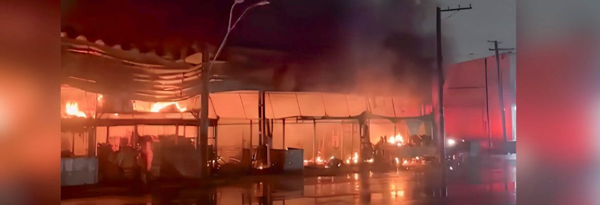 Incêndio atinge pavilhão de frutas no Ceagesp; não há vítimas