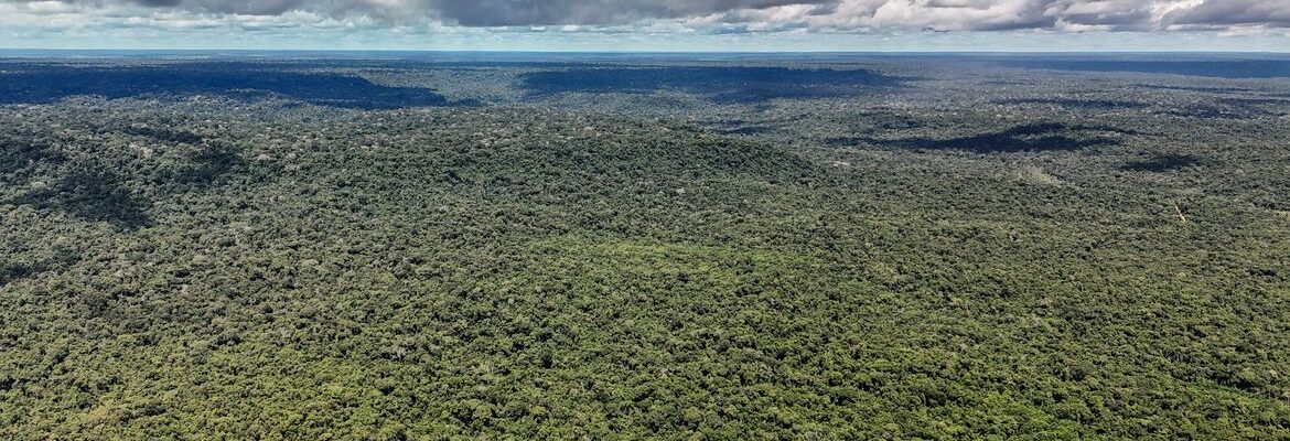 Fazenda autoriza crédito de US$ 1 bilhão do BID para Eco Invest Brasil