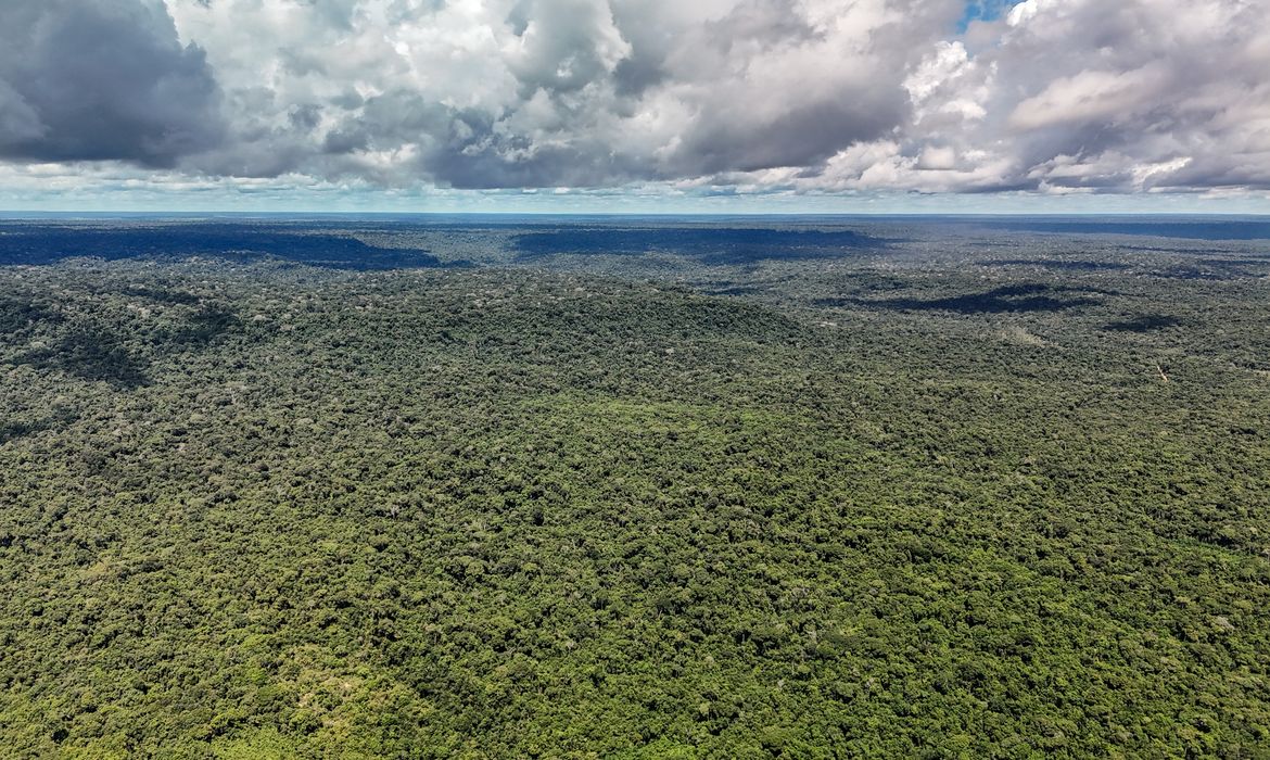 OAB Barro Preto - Fazenda autoriza crédito de US$ 1 bilhão do BID para Eco Invest Brasil
